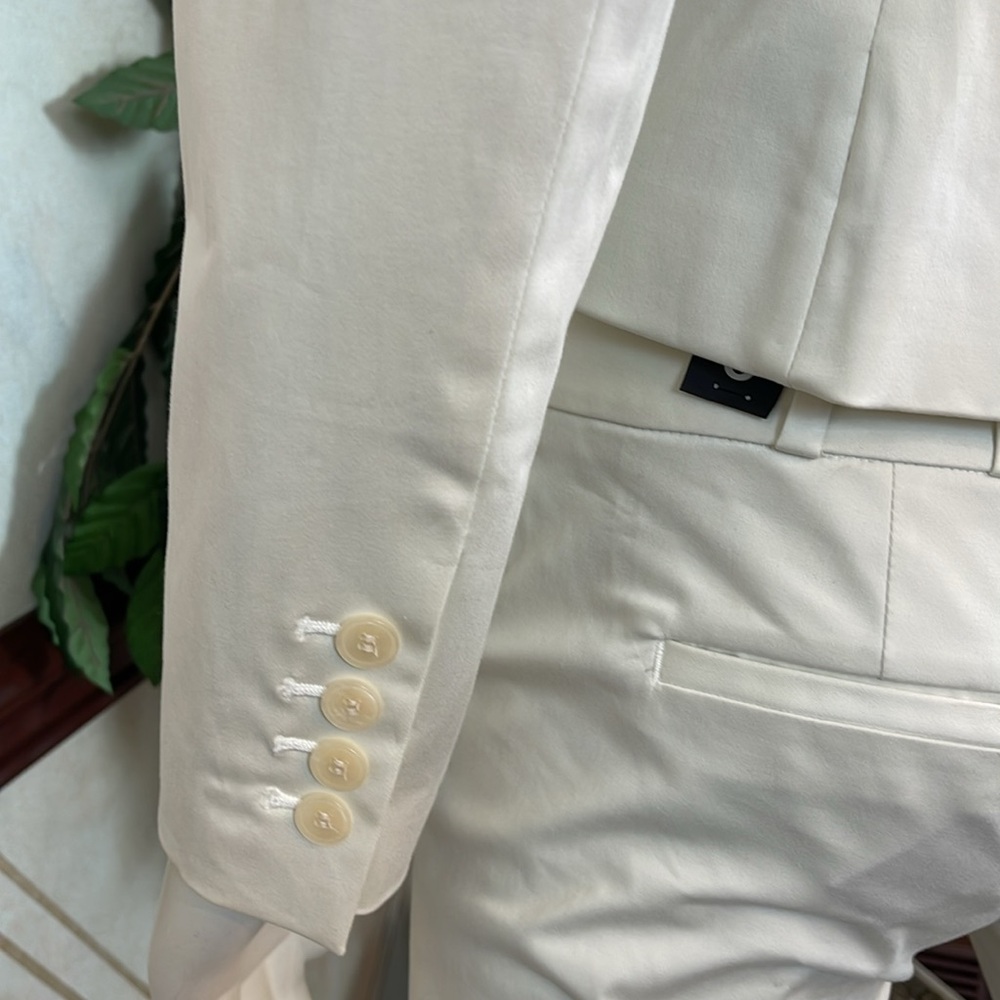THE LIMITED ECRU CLASSIC PANT SUIT - Picture 7 of 13